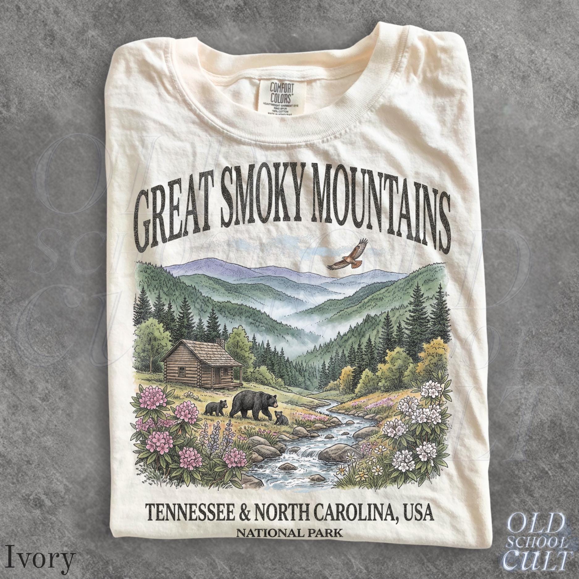 Smoky Mountains National Park Vintage 90s Retro Comfort Colors Mountain Cabin Bear Usa Nostalgia Tee (2)