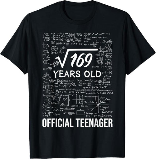100% Cotton 13 Birthday Official Teenager Boy 13yr Math 13th Birthday T-Shirt Hoodie, Sweatshirt | PrintMintTees.com