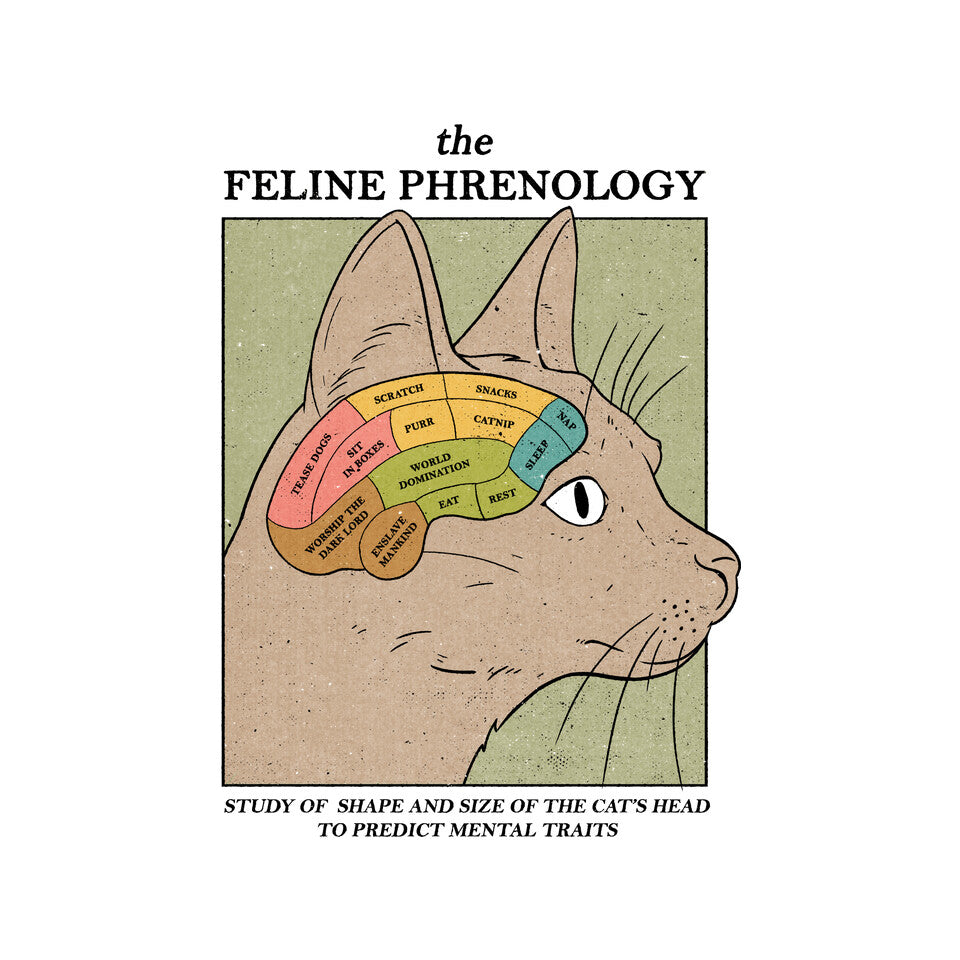 Feline Phrenology