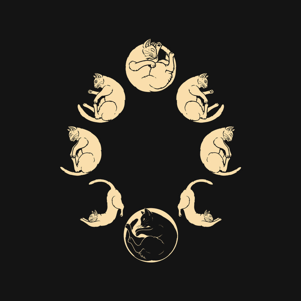 Moon Cycle