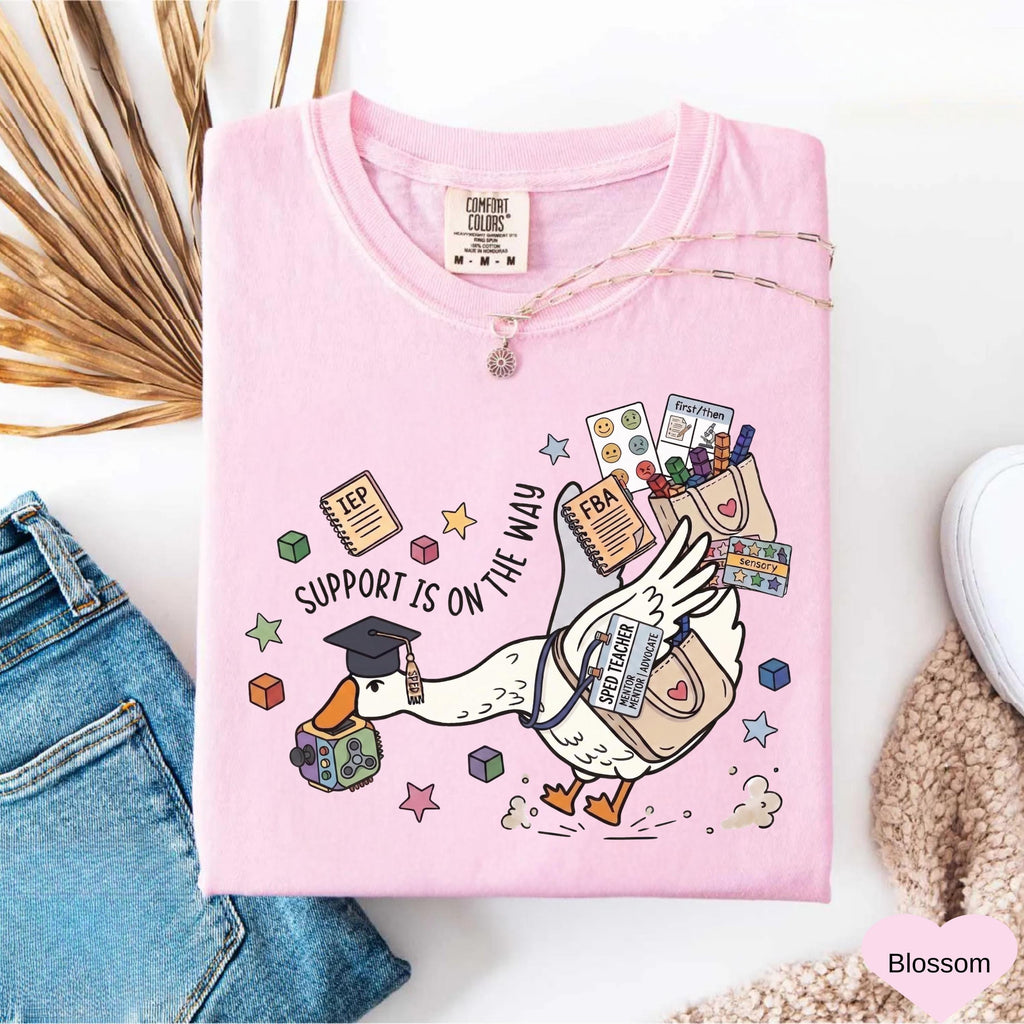 Comfort Colors Silly Goose Education Teacher Future Ed Teacher Sped Teacher Ed Team (3)
