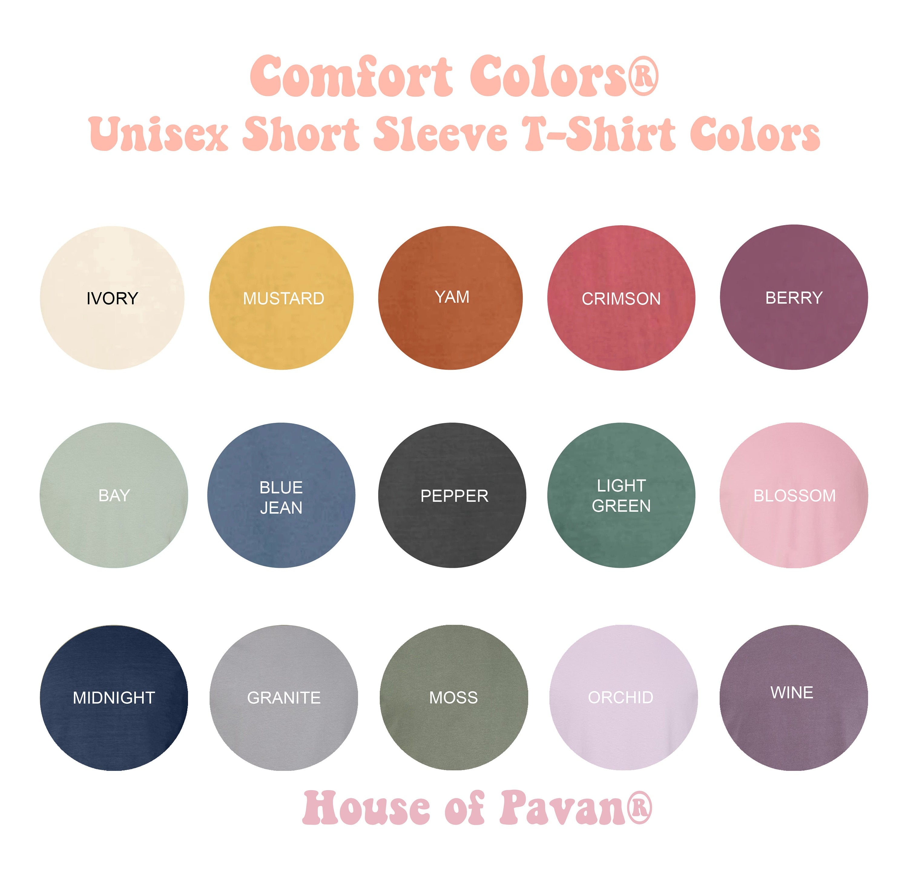 Western Rodeo Cowgirl Vintage American Retro Country Music Comfort Colors Rodeo Tee (4)