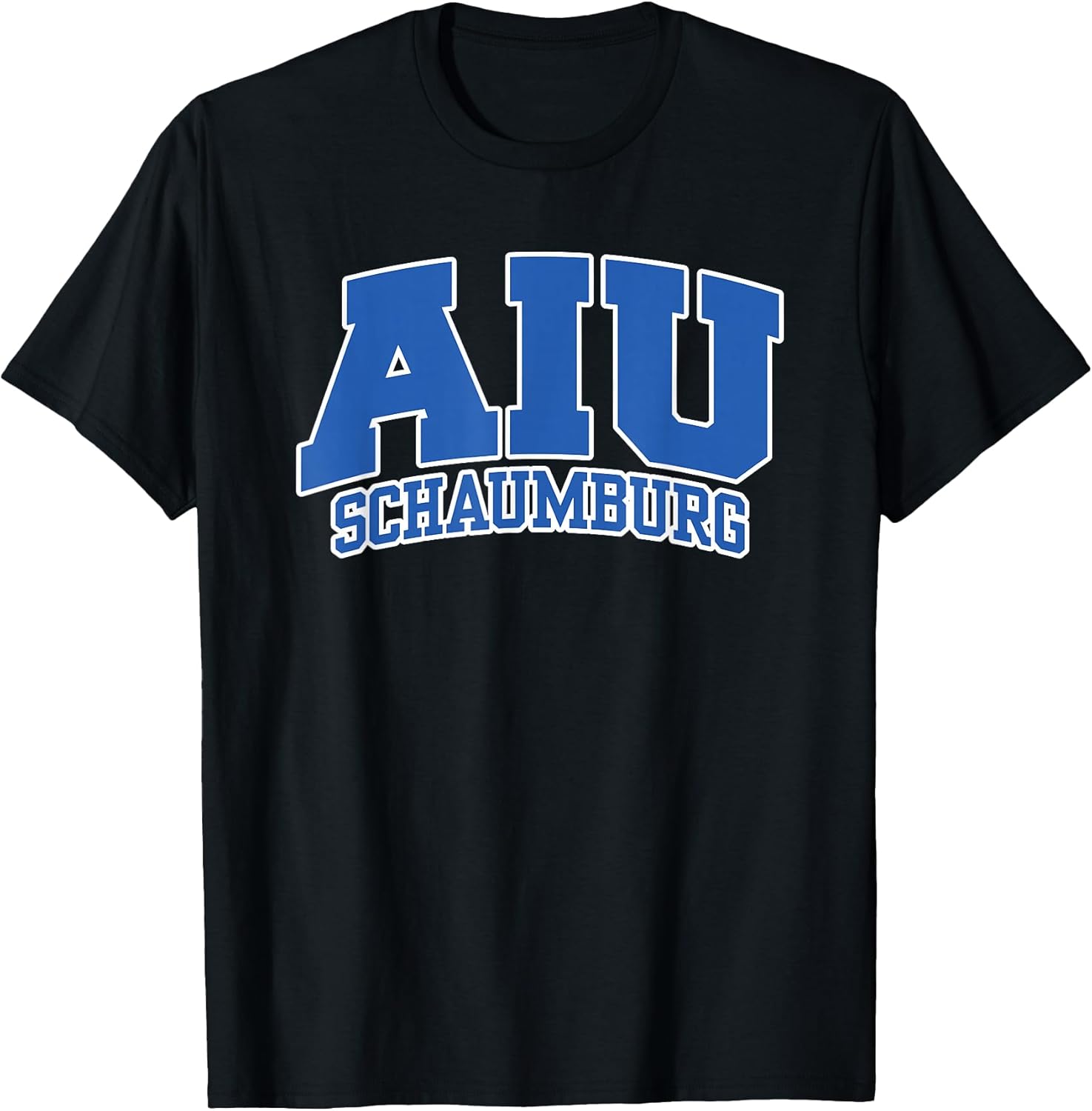AIU Schaumburg Athletic Sports Fan