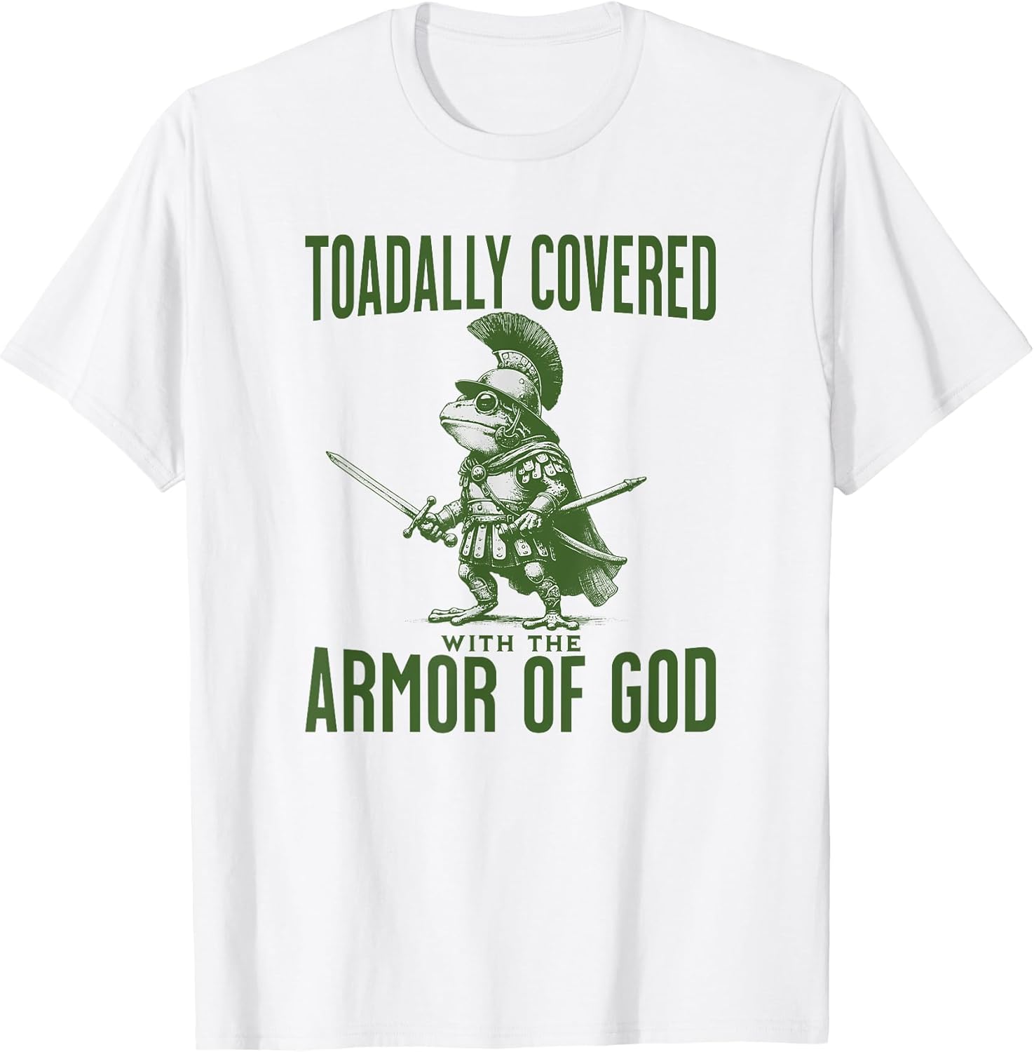 Funny Christian Meme Frog God Armor Bible Verse