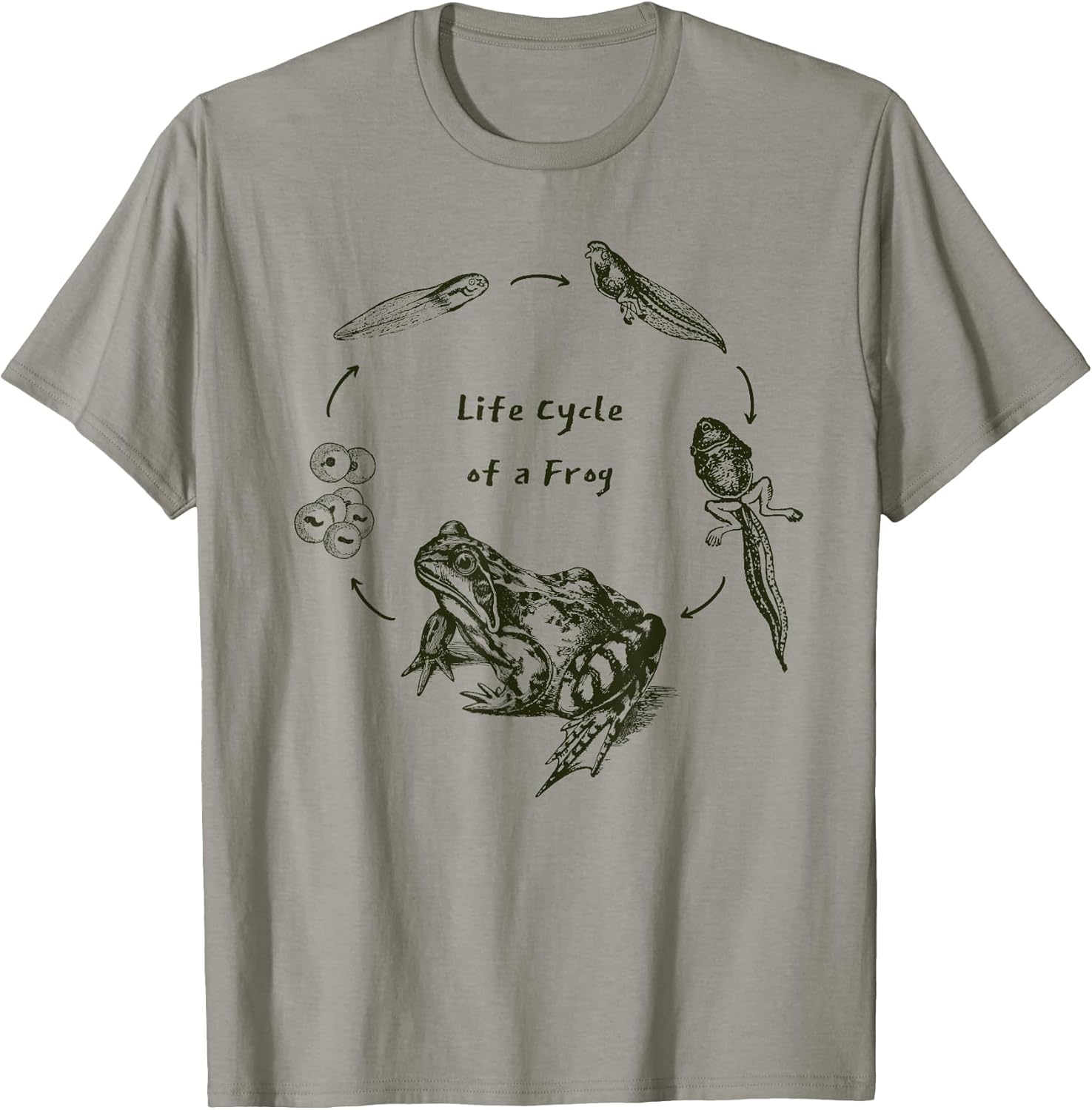 Life Cycle of a Frog Science Merch