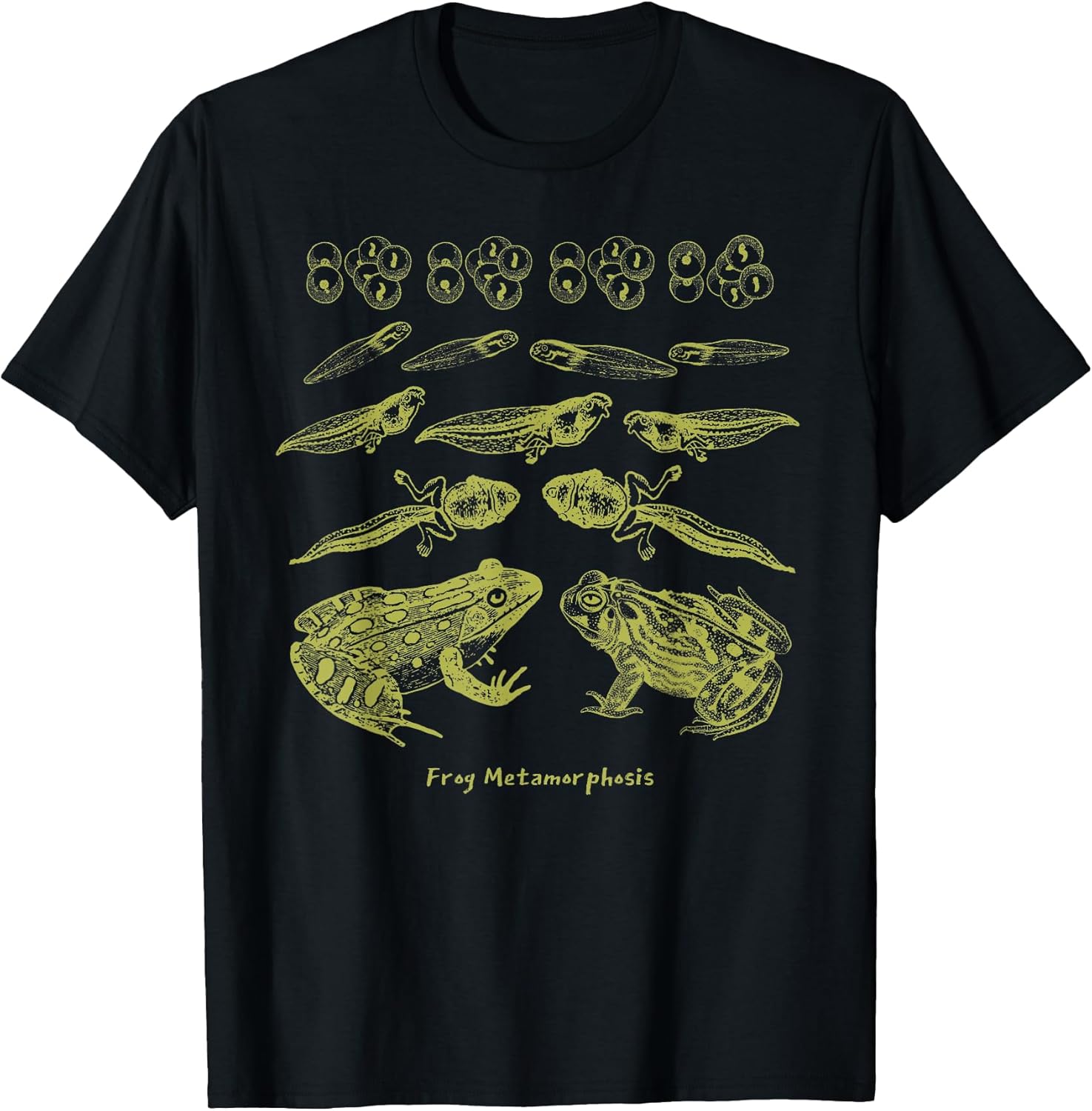 Life Cycle of a Frog Merch