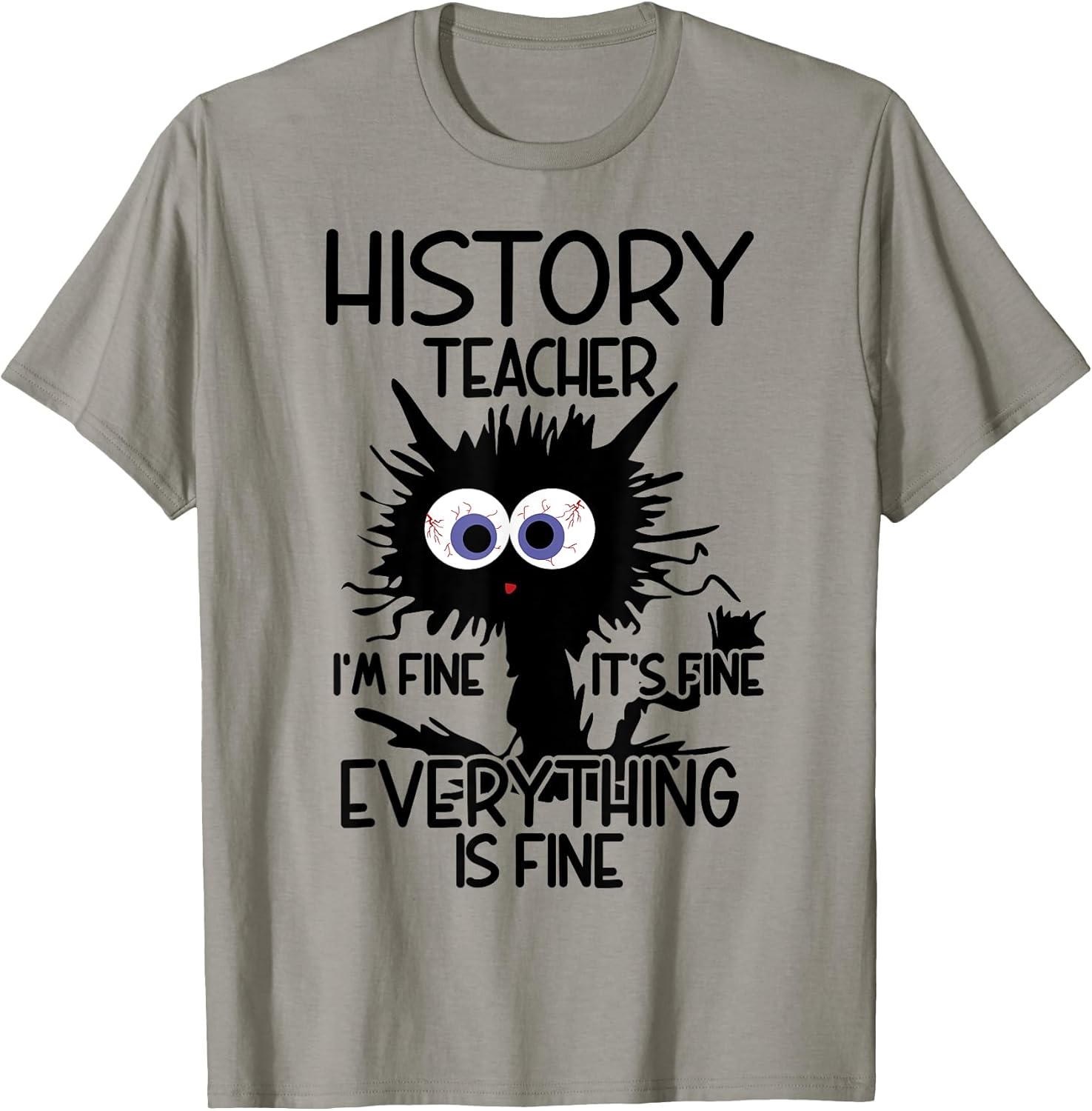 History Teacher It's Fine Cat