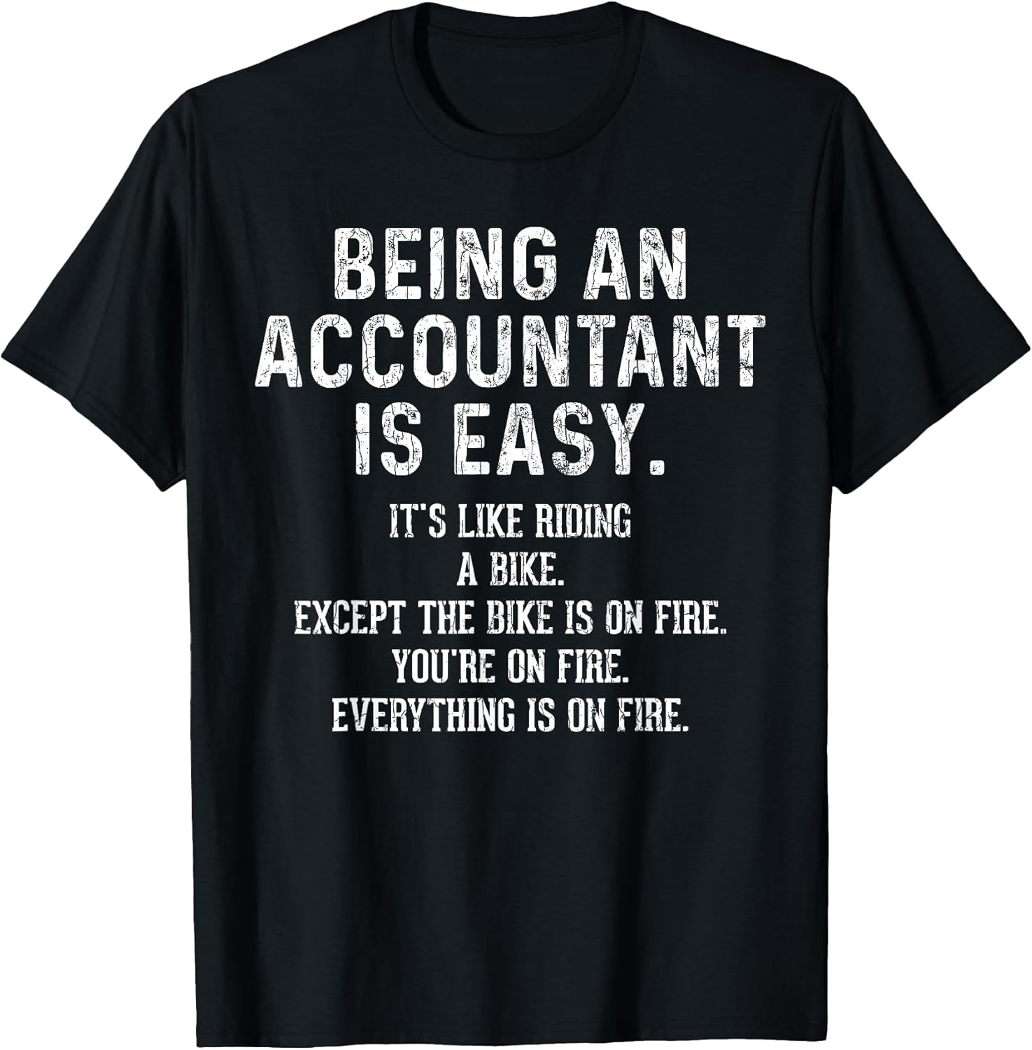 Funny Accountant Graphic & More