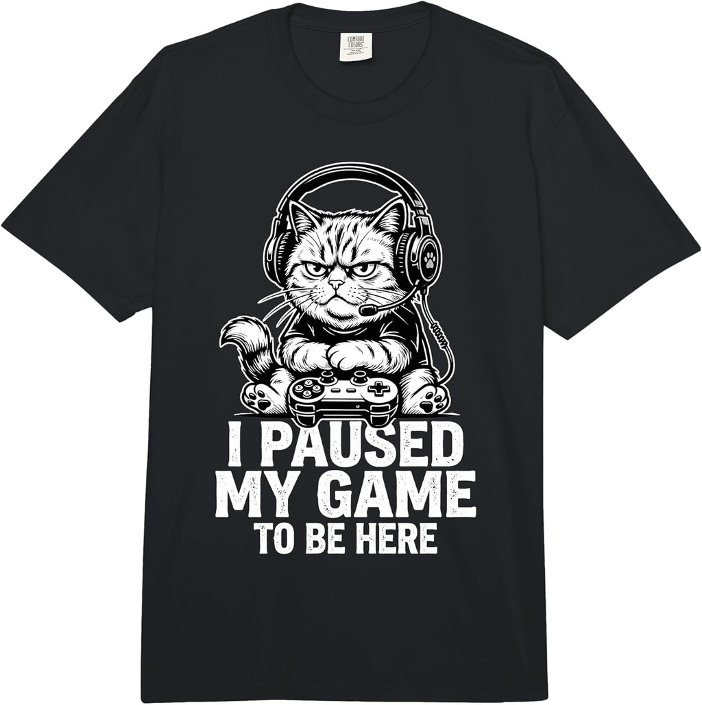 I Paused My Game Cat Collection