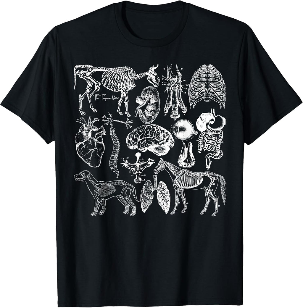 Veterinary Anatomy
