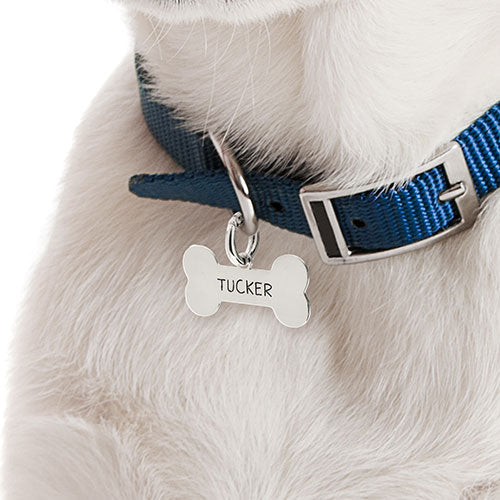 Stainless Steel Personalized Engraved Cut-out Bone Pet Tag