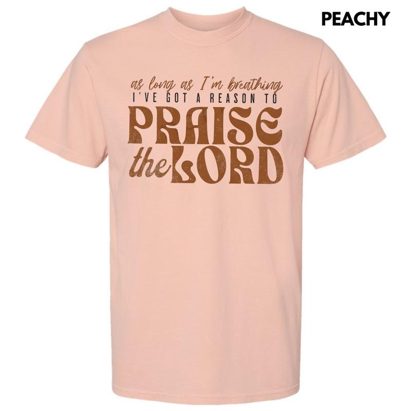 A Reason To Praise Comfort Colors T-Shirt Hoodie Sweatshirt | PrintMintTees.com