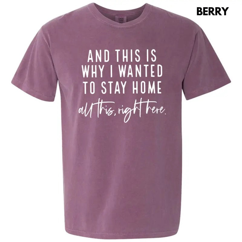 All This Right Here Comfort Colors T-Shirt Hoodie Sweatshirt | PrintMintTees.com