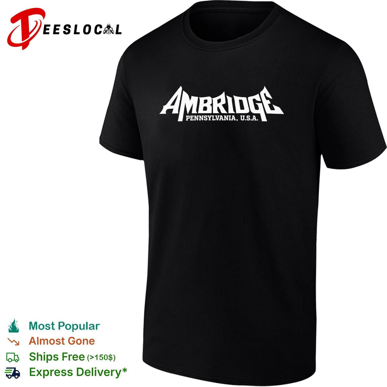 Ambridge Pennsylvania USA basic shirt