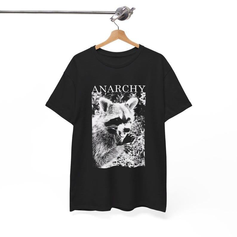 Anarchy Funny Raccoon T-Shirt, Meme Graphic Tee, Meme Raccoon Sweater, Meme Raccoon Gift Top Hoodie Sweatshirt