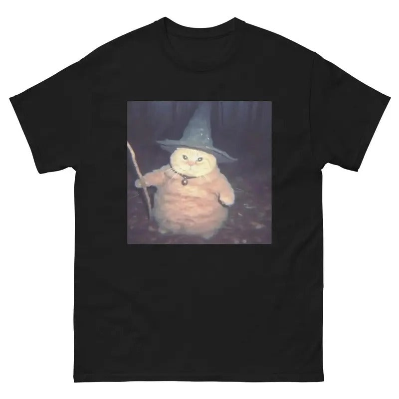 Cheeseball the Wizard Cat T-Shirt, Funny Quote Shirt, Sarcasm Shirt, Trendy Shirt Hoodie Sweatshirt | PrintMintTees.com