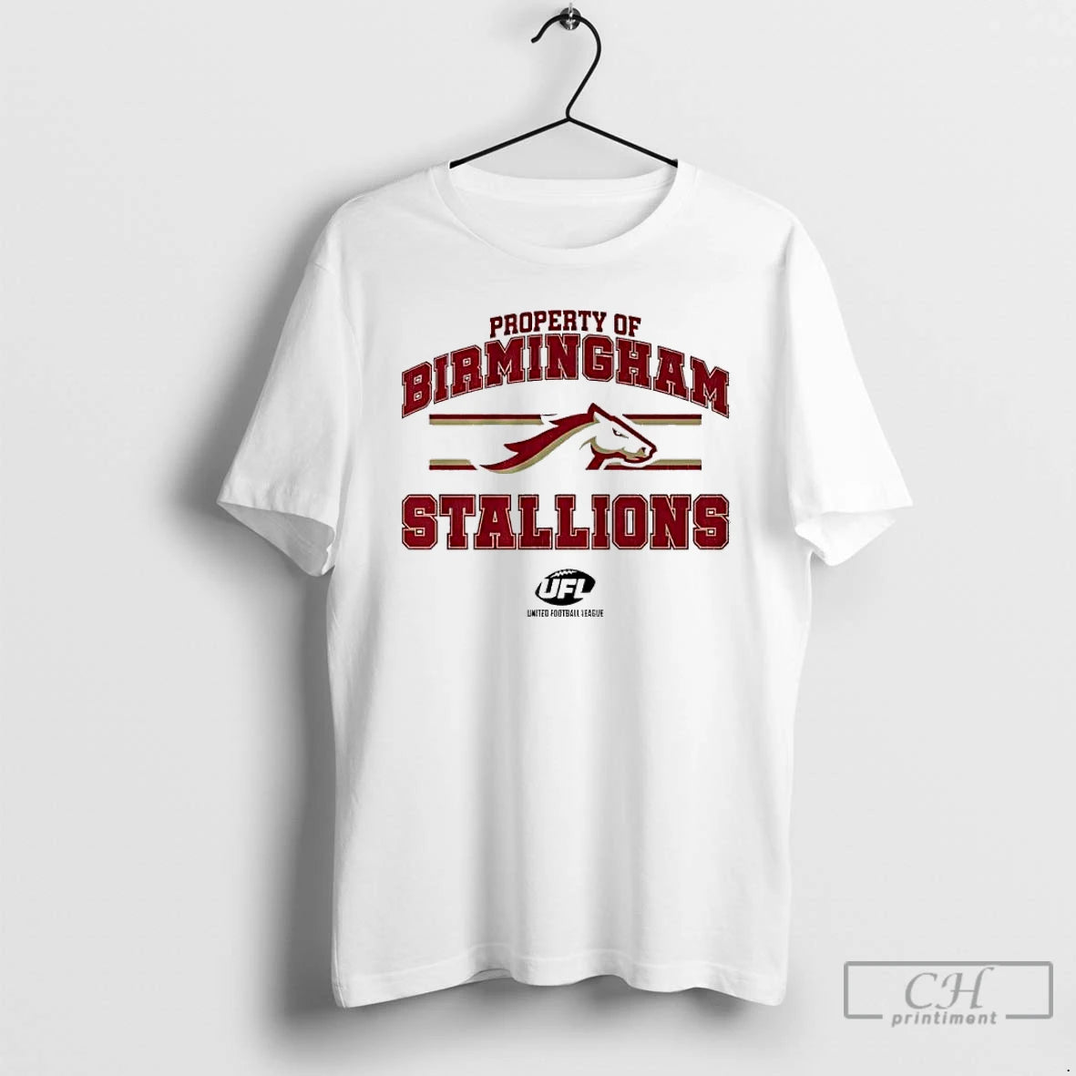 Classic Property Of Birmingham Stallions Banner Stylish T-Shirts, Hoodie, Sweatshirt | PrintMintTees.com