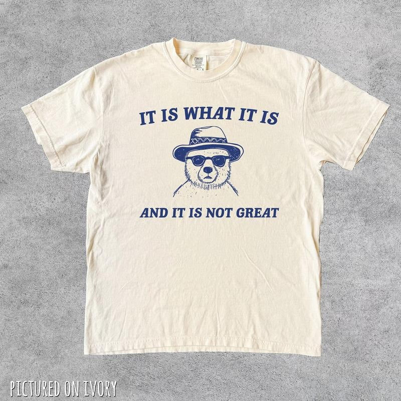 Comfort Colors It Is What It Is And It Is Not Great Funny Shirt, Vintage T-Shirt, Meme Shirt, Funny Gifts for Friends,...