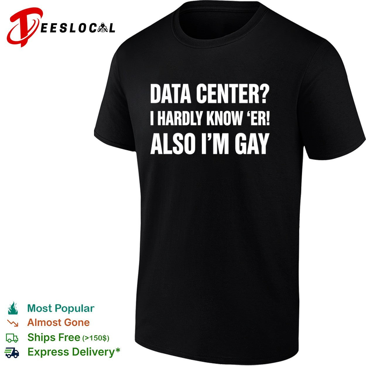 Data center I hardly know er also Im gay text shirt
