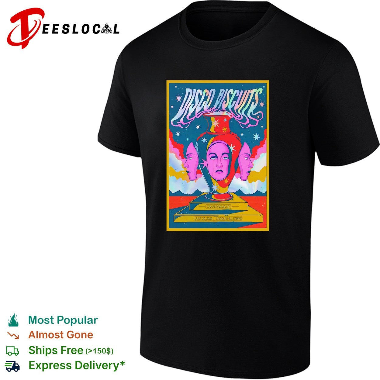 Disco Biscuits Canandaigua New York 2026 poster shirt