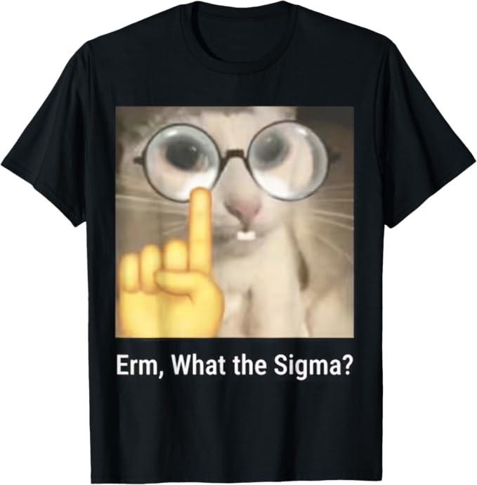 Funny Cat Shirts, Erm, What the Sigma Cat Meme Funny T-Shirt - Menswear Top Hoodie Sweatshirt | PrintMintTees.com