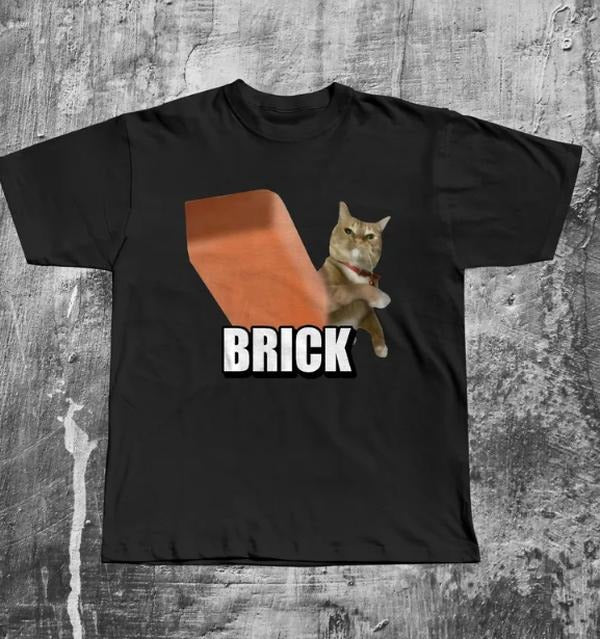Funny Cat Throwing Brick T-shirt, Silly Cats Tee, Unhinged Clothes, Brainrot Shirts, Cat Lover Gifts, Weird Tshirt Hoodie...