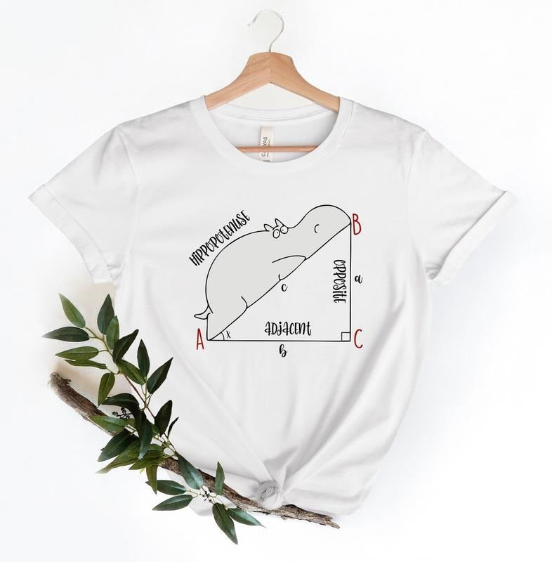 Funny Math T Shirt, Funny Hippopotenuse Shirt, Math Teachers Shirt, Back To School Tshirt Hoodie Sweatshirt