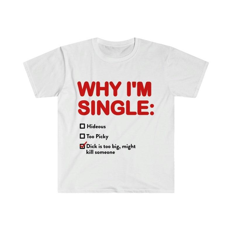 Funny Meme Shirt,  WHY I'M SINGLE Tee, Gift Unisex T-Shirt Hoodie Sweatshirt | PrintMintTees.com