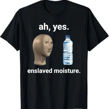Funny Meme Shirt, Ah Yes Enslaved Moisture Tee, Gift Unisex T-Shirt Hoodie Sweatshirt | PrintMintTees.com