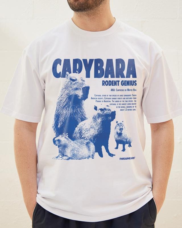 Funny Meme Shirt, CAPYBARA RODENT Tee, Gift Unisex T-Shirt Hoodie Sweatshirt | PrintMintTees.com