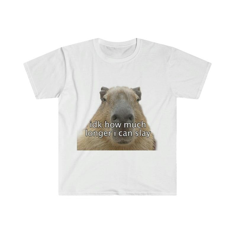 Funny Meme Shirt, Capybara "idk how much longer i can slay" Tee, Gift Unisex T-Shirt Hoodie Sweatshirt | PrintMintTees.com