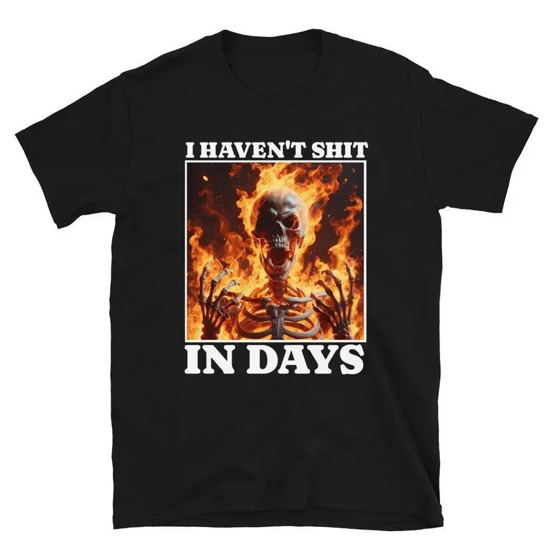 Funny Meme Shirt, I Haven't Shit in Days Tee, Gift Unisex T-Shirt Hoodie Sweatshirt | PrintMintTees.com