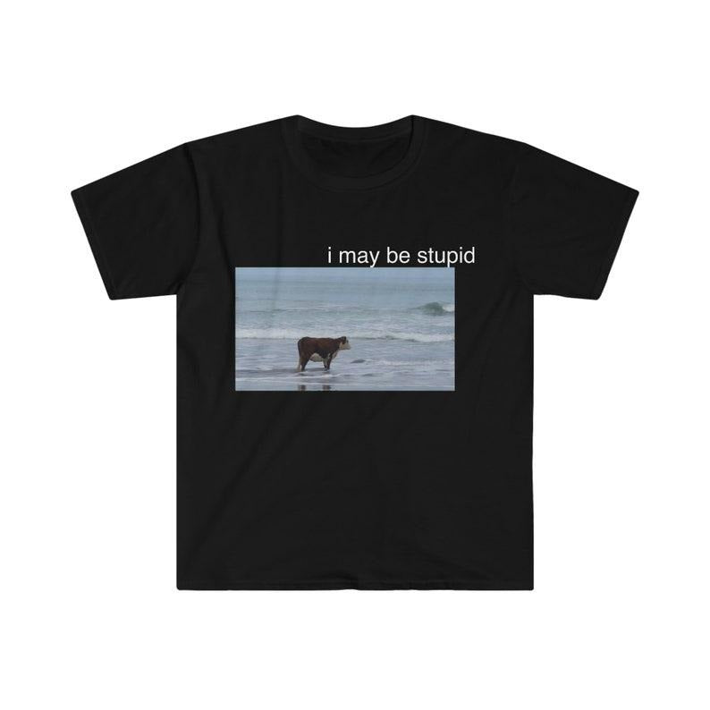 Funny Meme Shirt, I May Be Stupid Cow on Beach Tee, Gift Unisex T-Shirt Hoodie Sweatshirt | PrintMintTees.com