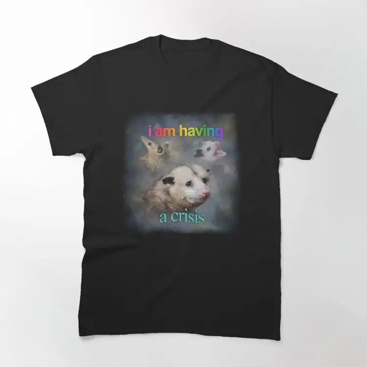 Funny Meme Shirt, I am having a crisis possum word art Classic T-Shirt Casual Fabric Hoodie Sweatshirt | PrintMintTees.com