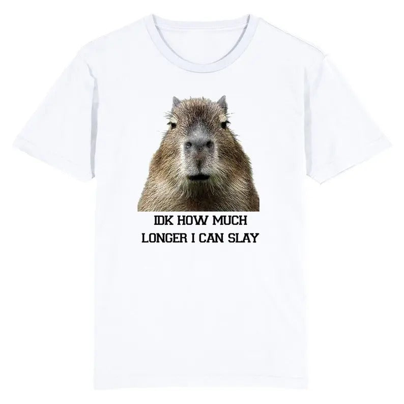 Funny Meme Shirt, IDK How Much Longer I Can Slay Capybara Tee, Gift Unisex T-Shirt Hoodie Sweatshirt | PrintMintTees.com