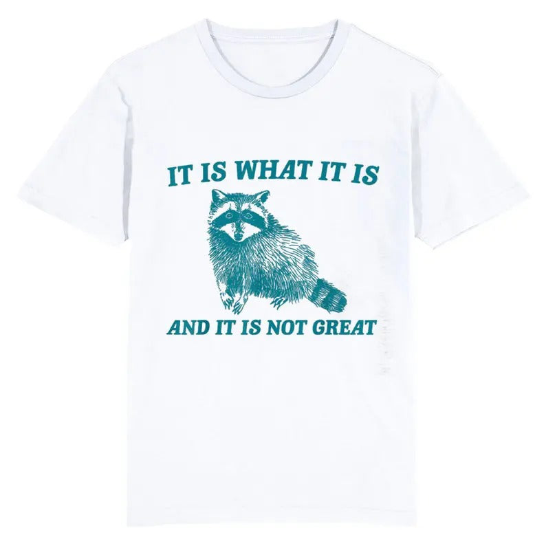 Funny Meme Shirt, It Is What It Is And It Is Not Great Racoon Tee, Minimalistic Gift Unisex T-Shirt Hoodie Sweatshirt