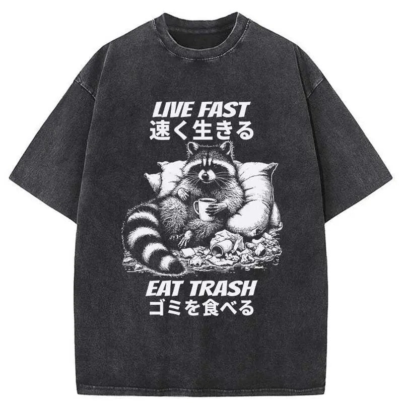 Funny Meme Shirt, Live Fast Eat Trash Raccoon Shirt, Meme Raccoon Japanese Merch, Vintage 90s Unisex Colors Outfit, Gift...