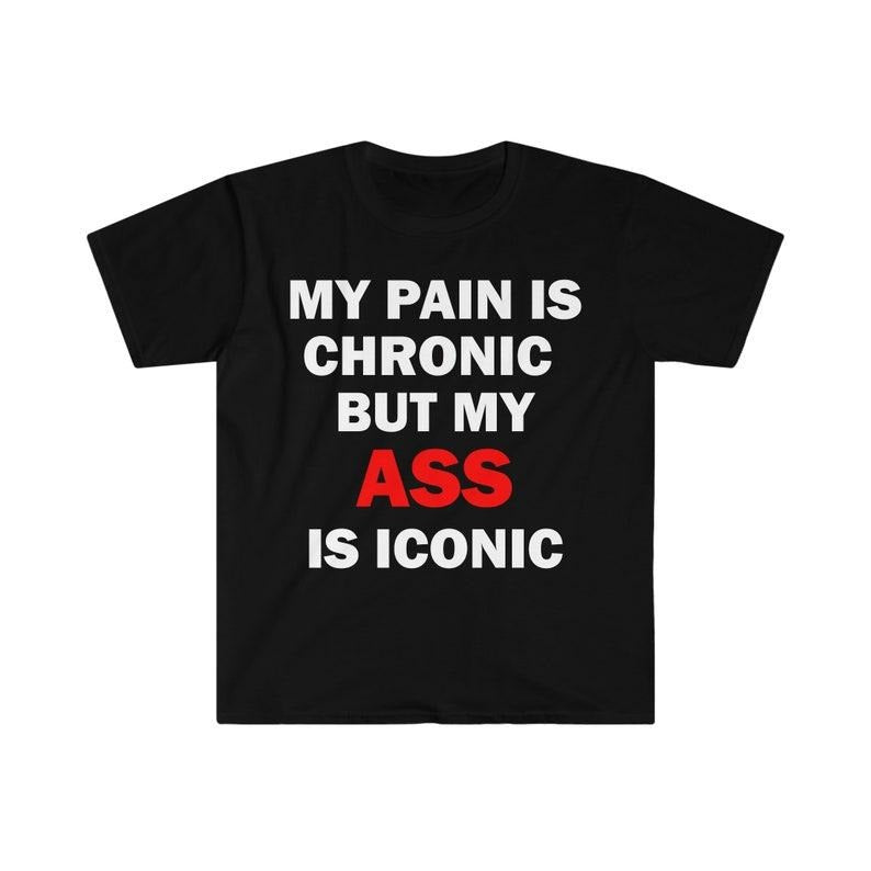 Funny Meme Shirt, My Pain Is Chronic But My As* Is Iconic Tee, Gift Unisex T-Shirt Hoodie Sweatshirt | PrintMintTees.com