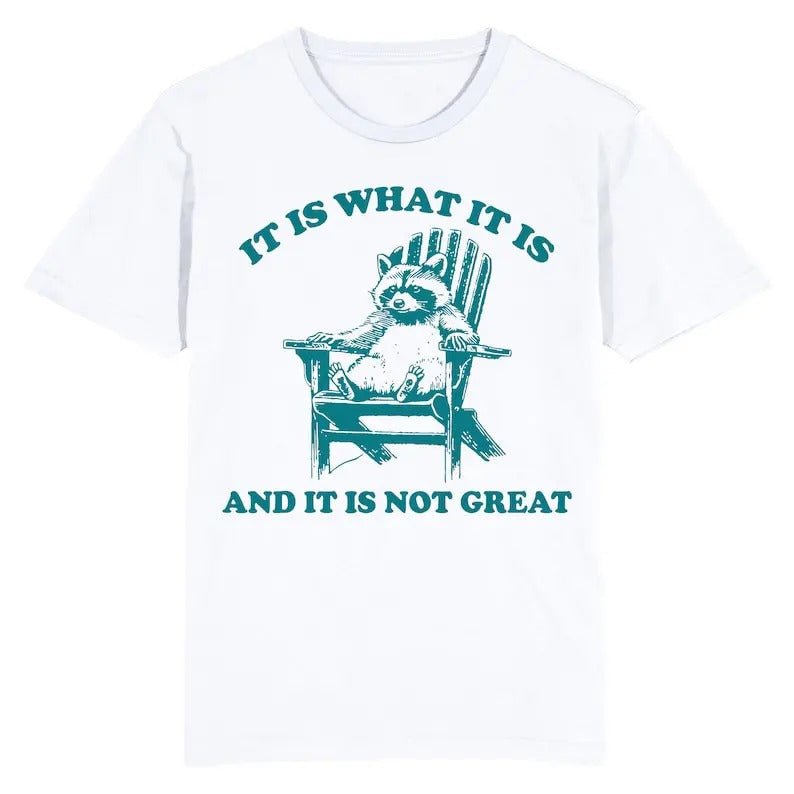 Funny Meme Shirt, Raccoon Is What It Is And It Is Not Great  Tee, Gift Unisex T-Shirt Hoodie Sweatshirt | PrintMintTees.com