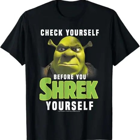 Funny Meme Shirt, Shrek Check Yourself Before You Shrek Yourself Tee, Gift Unisex T-Shirt Hoodie Sweatshirt