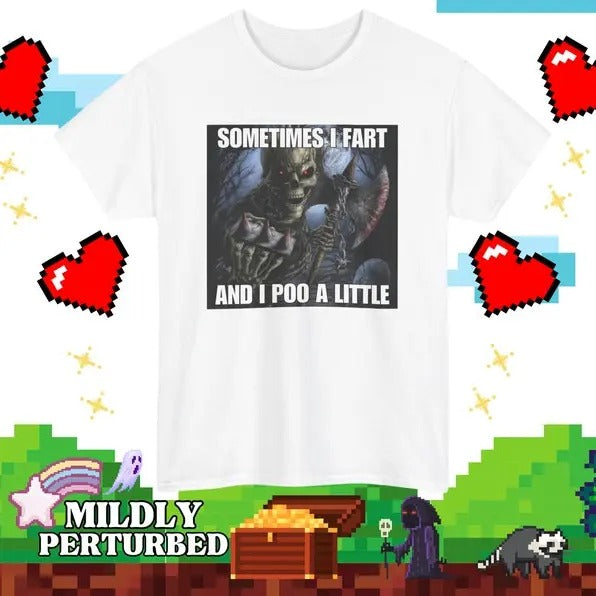 Funny Meme Shirt, Sometimes I Fart And I Poo Little Tee, Gift Unisex T-Shirt Hoodie Sweatshirt | PrintMintTees.com