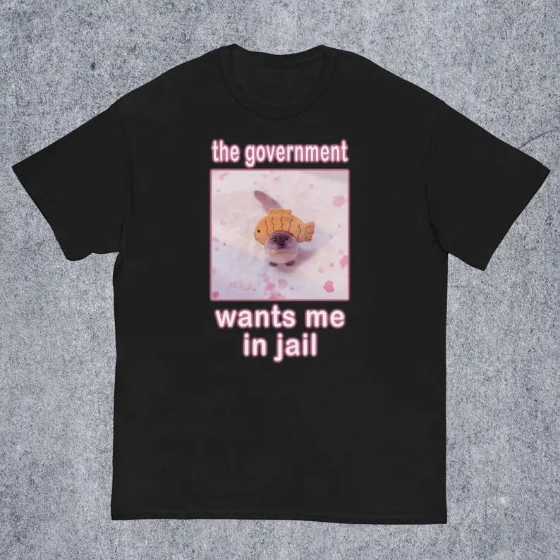 Funny Meme Shirt, The Government Wants Me in Jail Tee, Cat Lover Gift Unisex T-Shirt Hoodie Sweatshirt | PrintMintTees.com