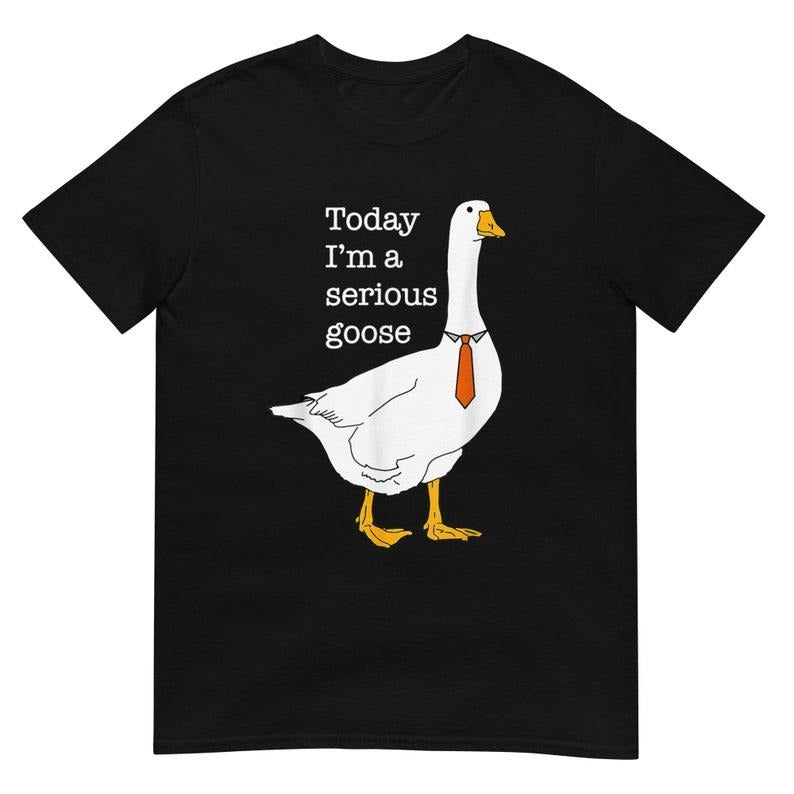 Funny Meme Shirt, Today I'm A Serious Goose Tee, Gift Unisex T-Shirt Hoodie Sweatshirt | PrintMintTees.com