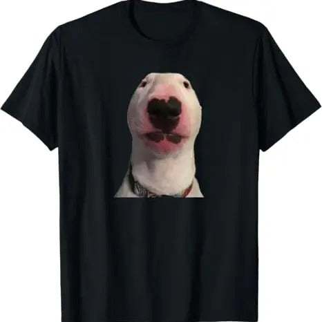 Funny Meme Shirt, Walter dog Tee, Gift Unisex T-Shirt Hoodie Sweatshirt | PrintMintTees.com
