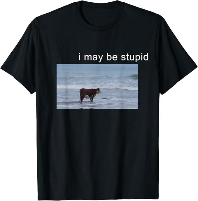 Funny Meme Shirts For Men, I May Be Stupid Funny T-Shirt Menswear Top Hoodie Sweatshirt | PrintMintTees.com