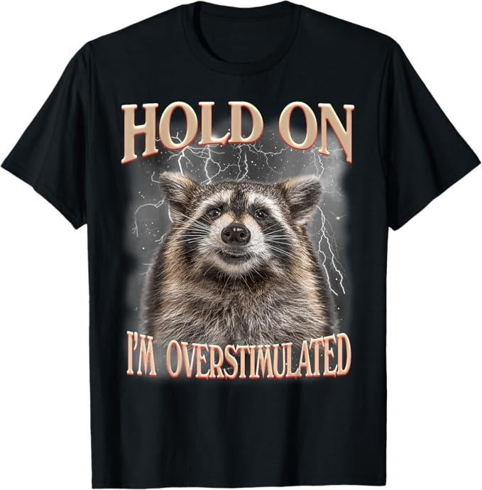Funny Raccoon Shirt, Hold On I'm Overstimulated Raccoon Funny T-Shirt For Men