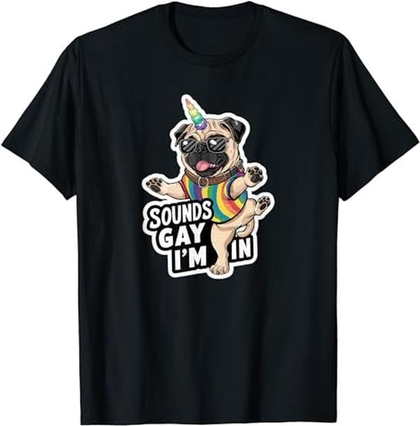 Funny Work T-Shirts, Funny Sounds Gay I'm In With Rainbow Flag For Pride Month T-Shirt Menswear Casual Cotton Hoodie...