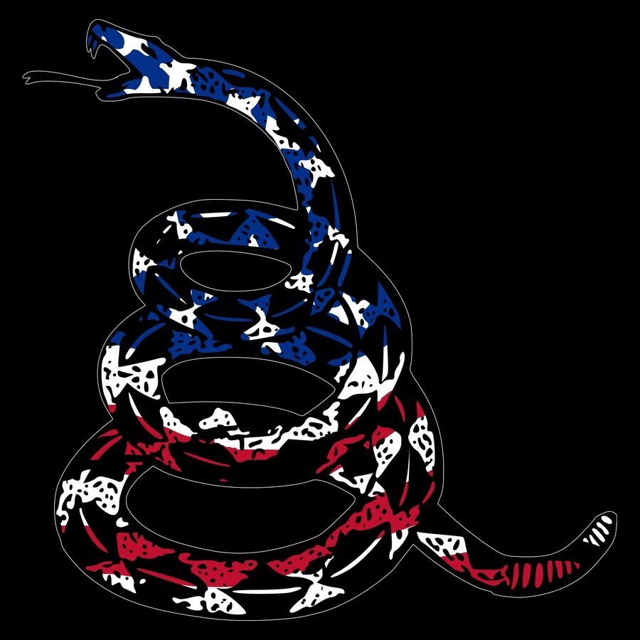 Freedom Gadsden T-Shirt - Black