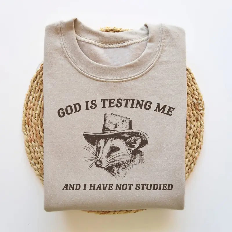 God Is Testing Me And I Have Not Studied, Funny Sweatshirt, Possum Sweatshirt, Vintage Cartoon Sweater Cotton Menswear...