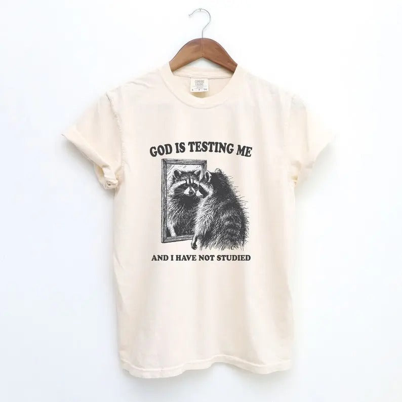 God Is Testing Me Tshirt, Funny Unisex Tee, Possum T-Shirt, Meme T-Shirt, Trash Panda Shirt, Vintage style Shirt, Raccoon...